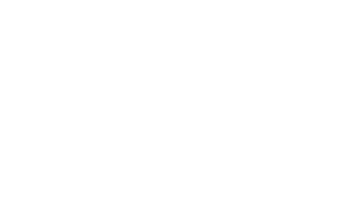 The Program